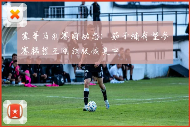 蒙哥马利赛前动态：茹子楠有望参赛稀哲王刚积极恢复中